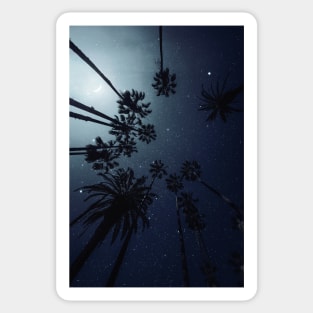 Palm Trees, Night Sky Sticker